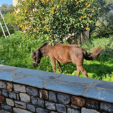 Galini Stone House * Proastion (Messenia)