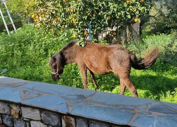 Galini Stone House * Proastion (Messenia)